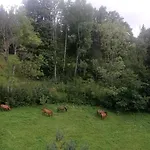 Horsky Krkonose Appartement *