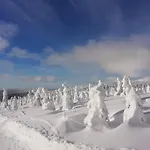 Horsky Krkonose