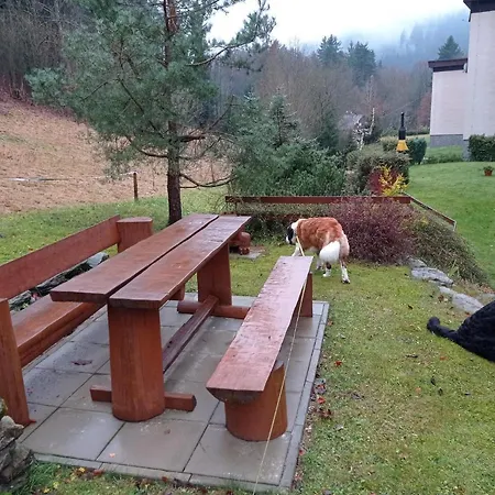 Horský Krkonoše *