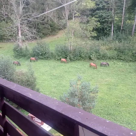 Horsky Krkonose * Vitkovice