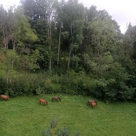 Horsky Krkonose Apartament *