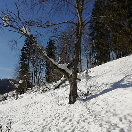 Horsky Krkonose Apartament Vítkovice