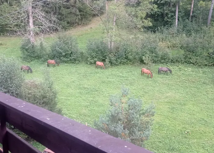 Horsky Krkonose * Vítkovice