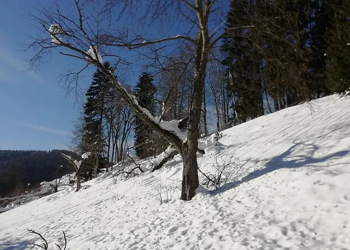 Horsky Krkonose Appartement Vítkovice