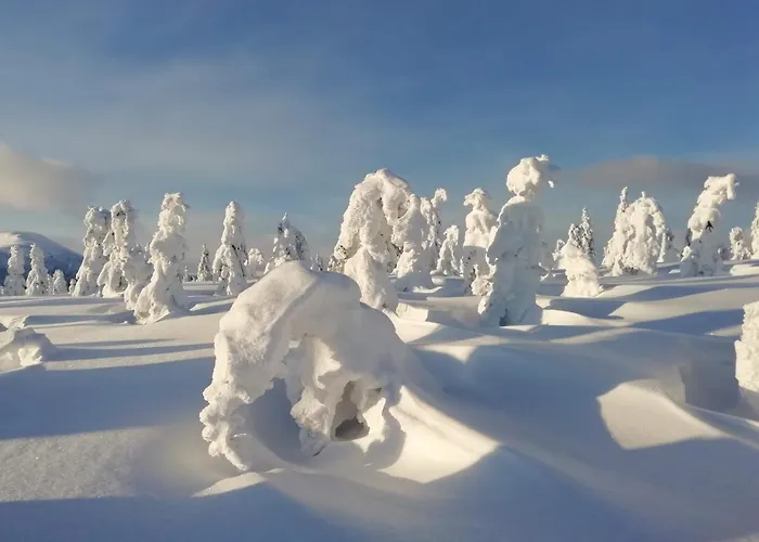 Horský Krkonoše Vítkovice