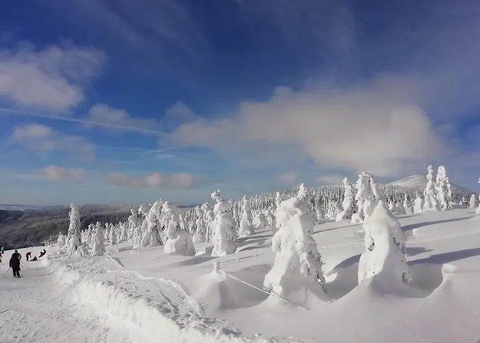 Horský Krkonoše