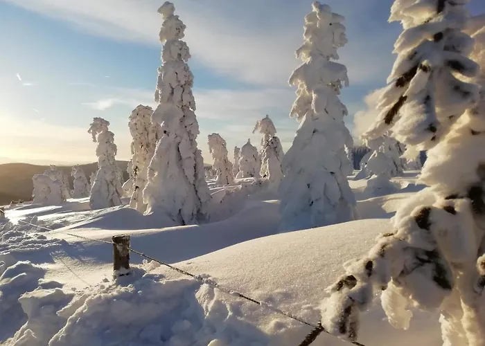 Horsky Krkonose Appartement